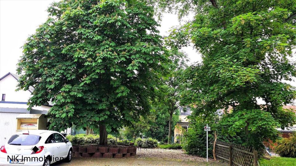 Etagenwohnung Zwickau Zwickau-West - 1 Zimmer, 41 m&sup2;, 270&euro; | Angebot:26679916
