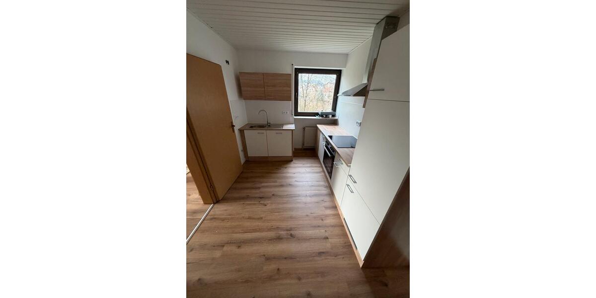 Renovierte 2-Zimmer Wohnung mit Garten und Küche in Altertheim 2 zimmer