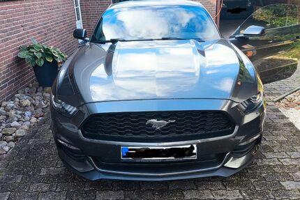 Ford Mustang 114.053 km 18.800 &euro; Langenhorn 25842