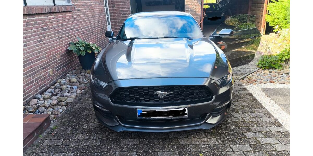 Ford Mustang 114.053 km 18.800 &euro; Langenhorn 25842