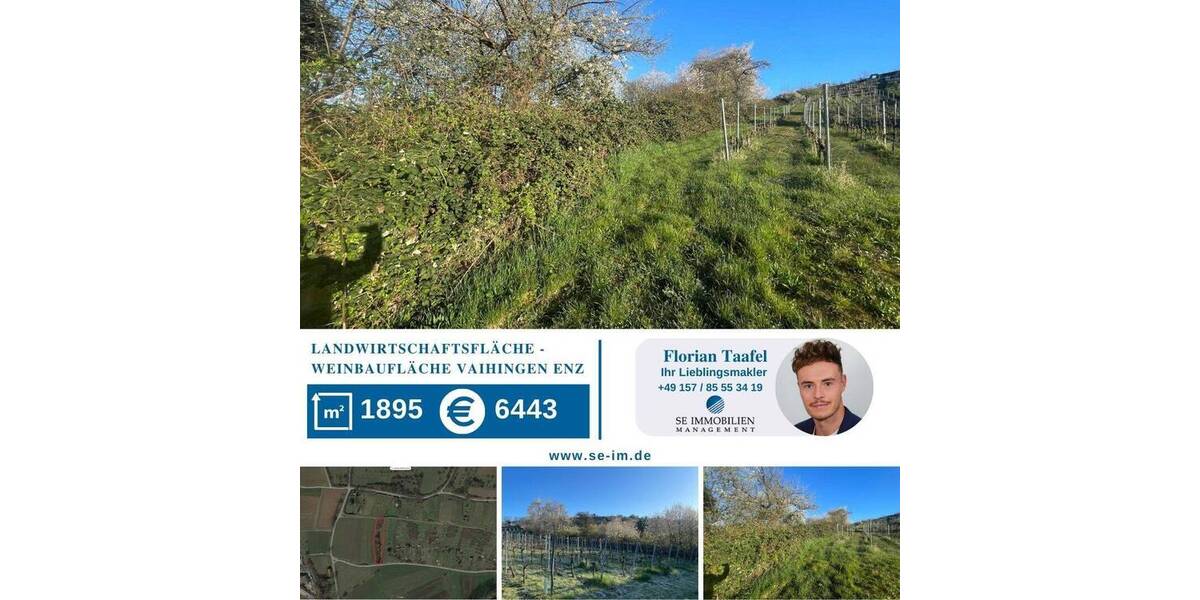 Grundstück Vaihingen an der Enz Vaihingen - 5.900&euro; | Angebot:25708063