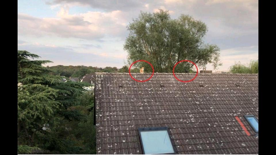 Dachgeschoßwohnung Rüsselsheim am Main - 2 Zimmer, 62 m&sup2;, 220.000&euro; | Angebot:25419526