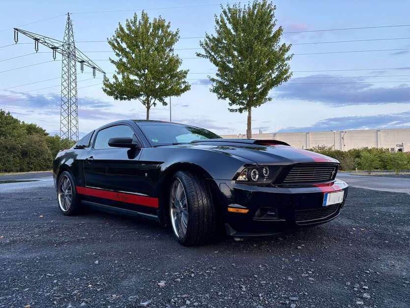 Mustang