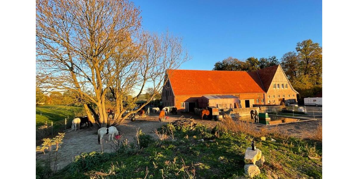 Maisonettenwohnung Rosendahl - 2.5 Zimmer, 150 m&sup2;, 1.350&euro; | Angebot:25868142