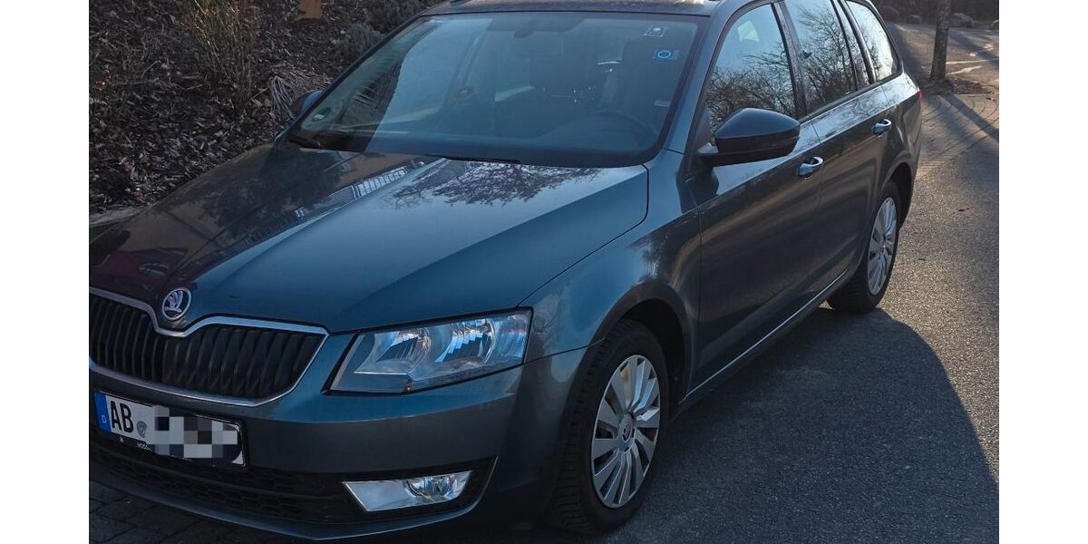Skoda Octavia 126.000 km 10.234 &euro; Westerngrund 63825