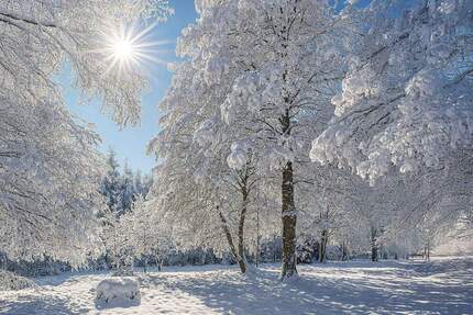 Traumhaftes Grundstück mit Baugenehmigung. zimmer