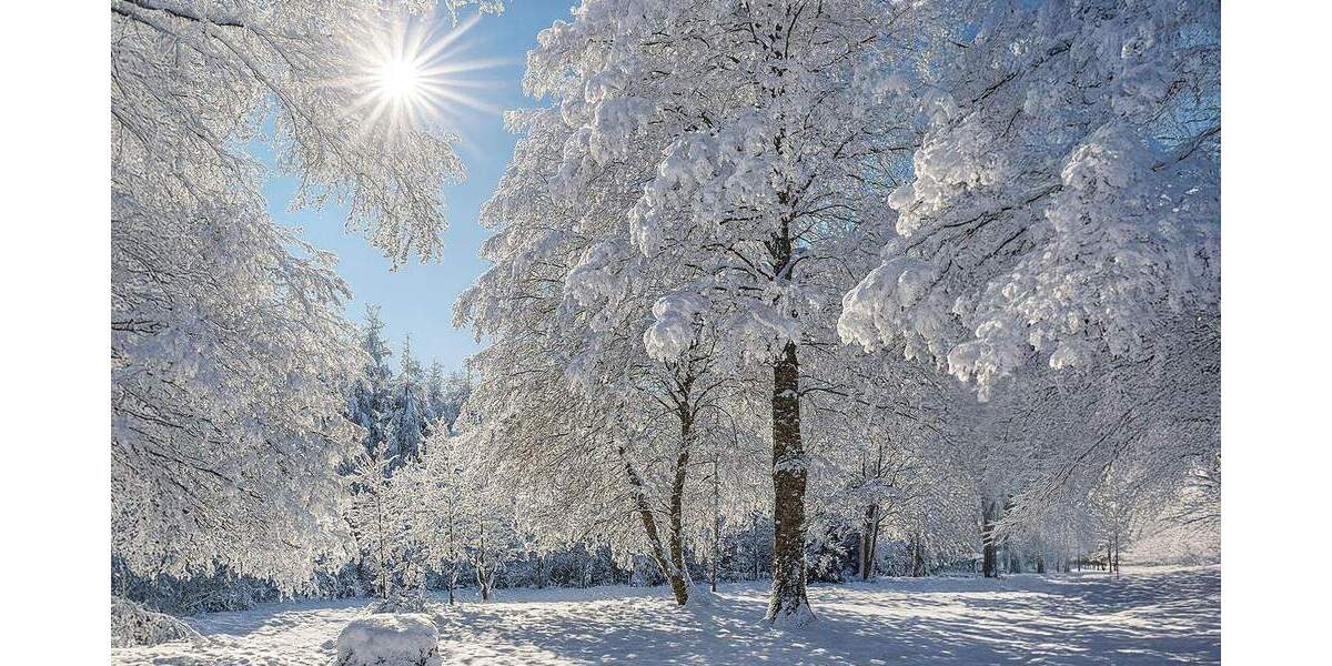 Traumhaftes Grundstück mit Baugenehmigung. zimmer