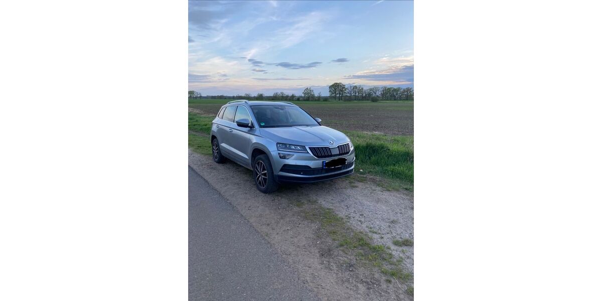 Skoda Karoq 162.000 km 14.100 &euro; Eicklingen 29358