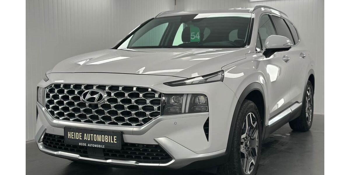 Hyundai SANTA FE 56.408 km 30.990 &euro; Heide 25746