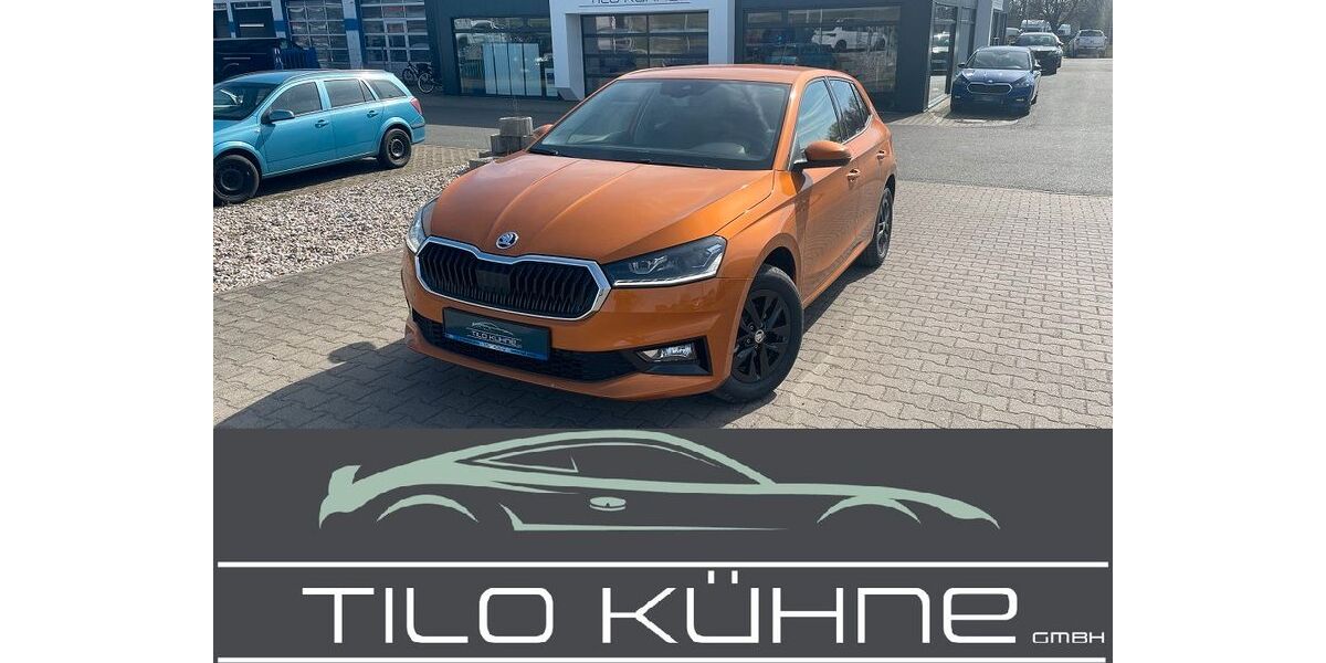 Skoda Fabia 4.953 km 19.990 € Bad Düben 04849