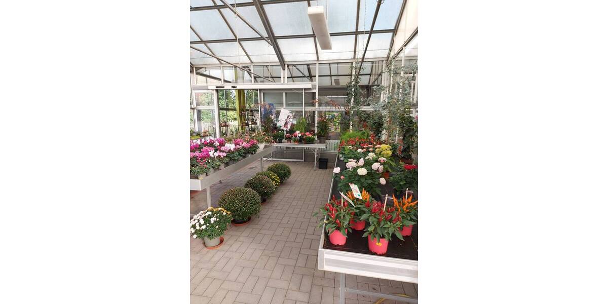 Grundstück Königsee-Rottenbach Königsee - 199.000&euro; | Angebot:25683148