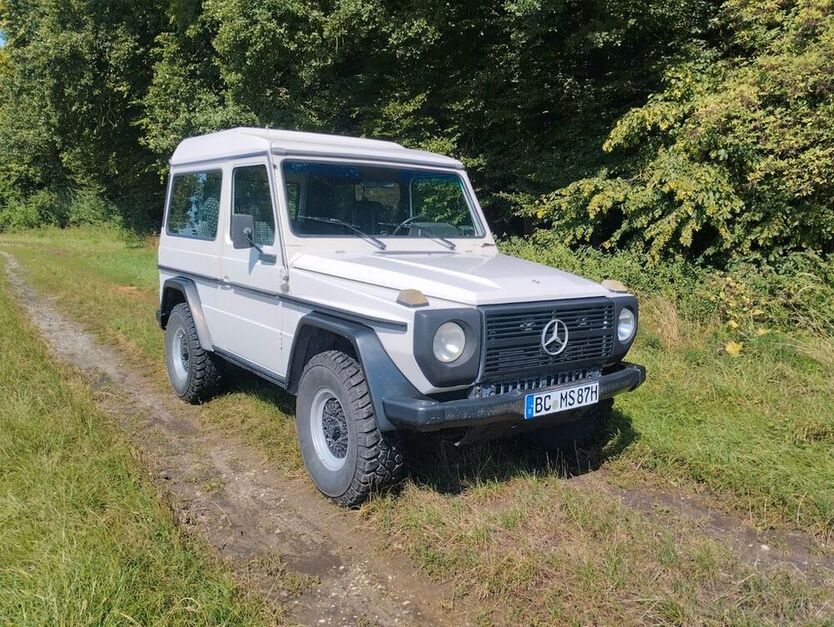 G 300