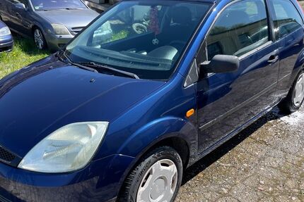 Ford Fiesta 233.000 km 600 &euro; Grünow 17291