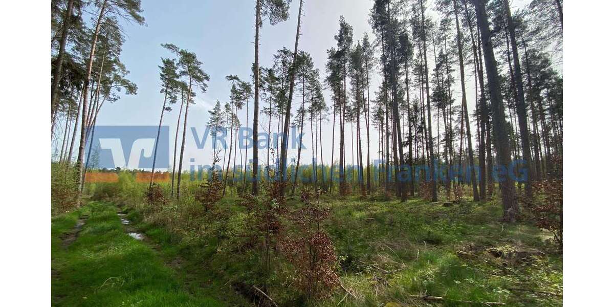 Grundstück Feuchtwangen - 69.000&euro; | Angebot:23997983