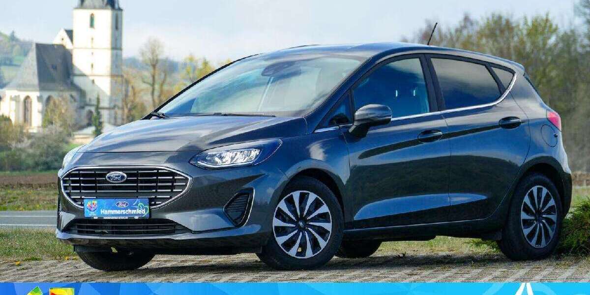 Ford Fiesta 12.500 km 16.690 &euro; Schleiz 07907