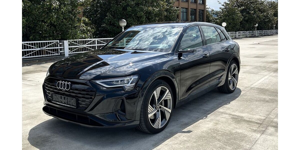 Audi Q8 e-tron 51.996 km 44.900 &euro; Ettlingen 76275