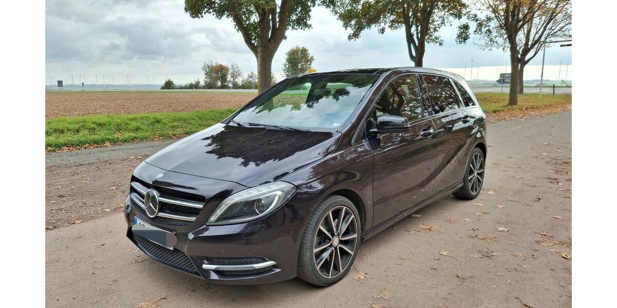 Mercedes-Benz B 250 173.000 km 12.500 &euro; Udenheim 55288