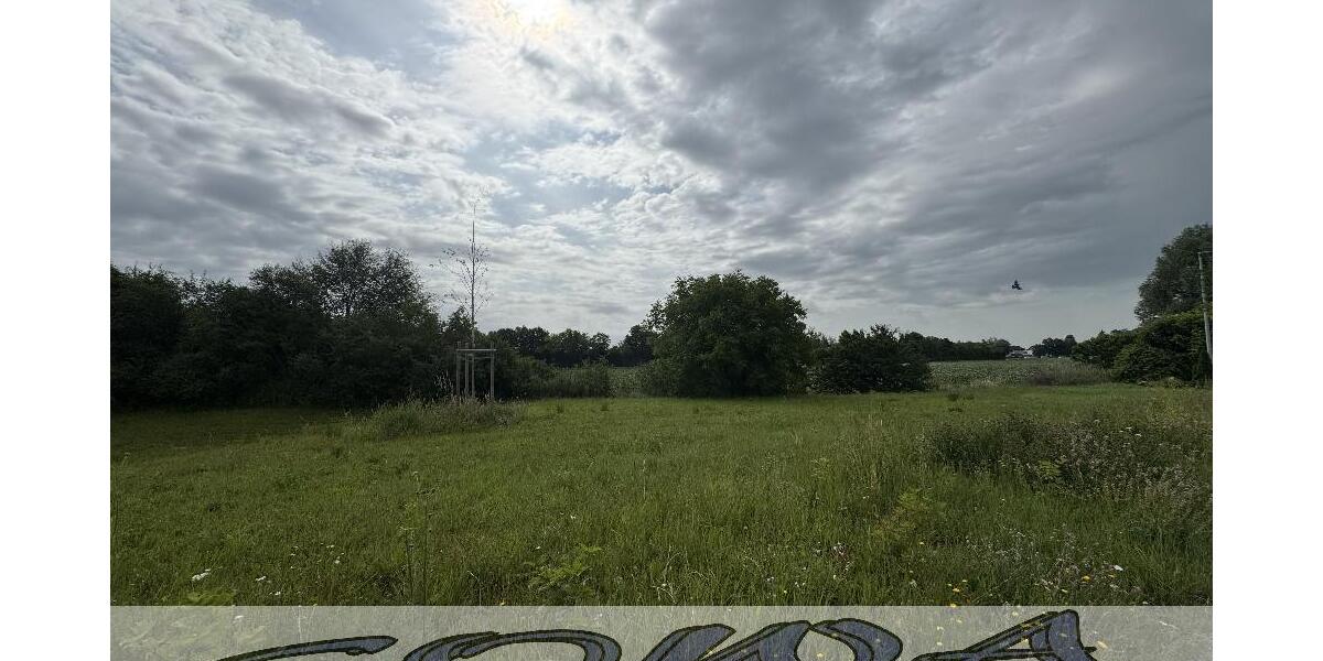 Baugrundstück Neuburg Heinrichsheim ohne Bauzwang - Ein Objekt von Ihrem Immobilienpartner SOWA Immobilien und Finanzen - Grundstück Neuburg | Angebot:27143414