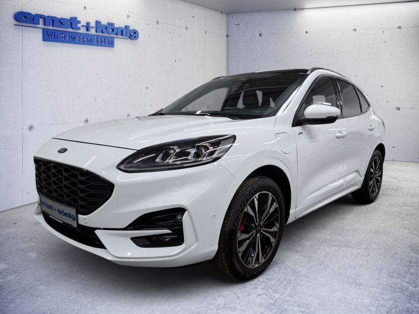 Kuga