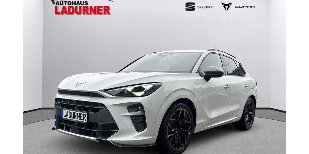 Cupra Terramar 6.000 km 61.490 &euro; Villingen-Schwenningen 78052