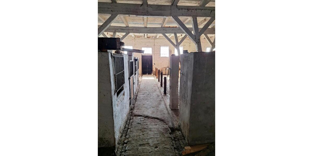 Doppelhaushälfte Malchin - 6 Zimmer, 140 m&sup2;, 159.000&euro; | Angebot:26145007