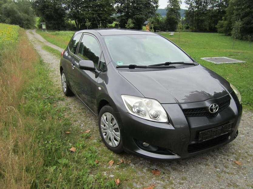 Auris