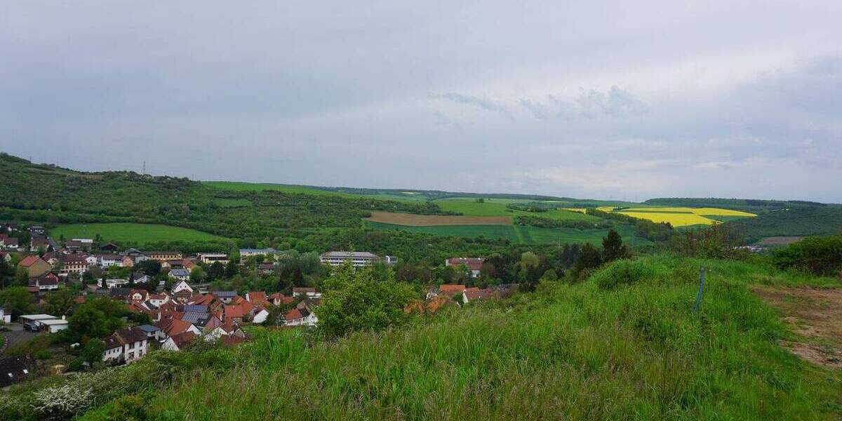 Grundstück Alsenz - 97.000&euro; | Angebot:25687011