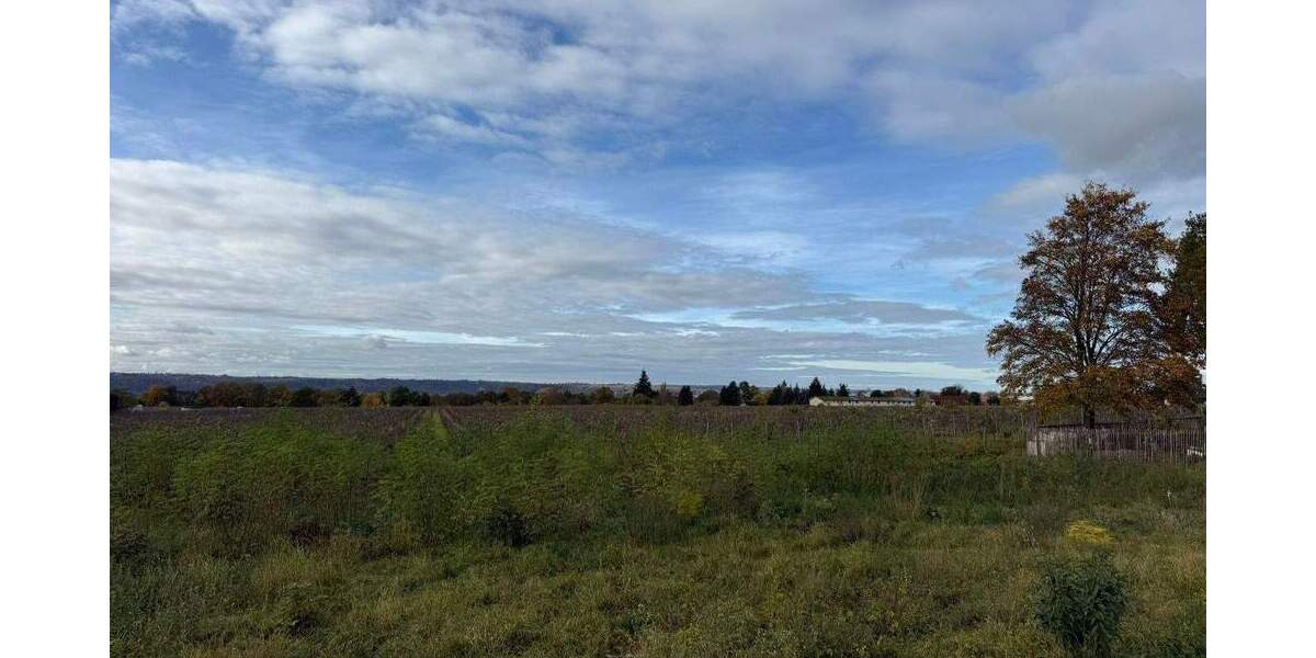 Grundstück Weinböhla - 306.700&euro; | Angebot:23482264