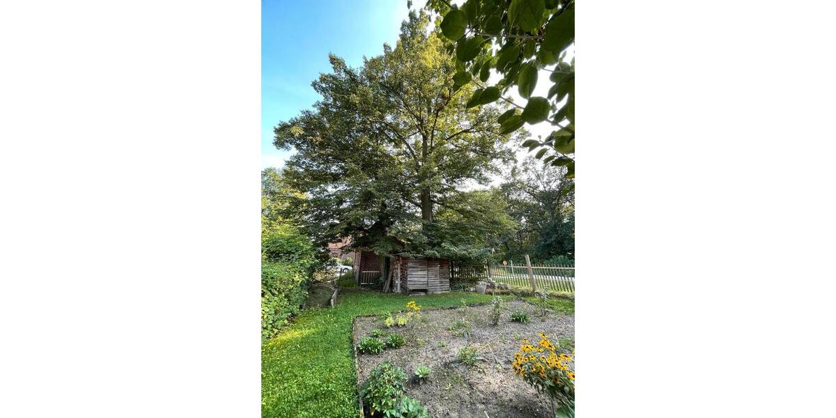 Etagenwohnung Kodersdorf - 2 Zimmer, 20 m&sup2;, 99&euro; | Angebot:25143002