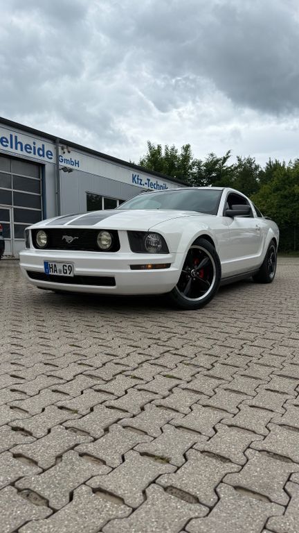 Mustang