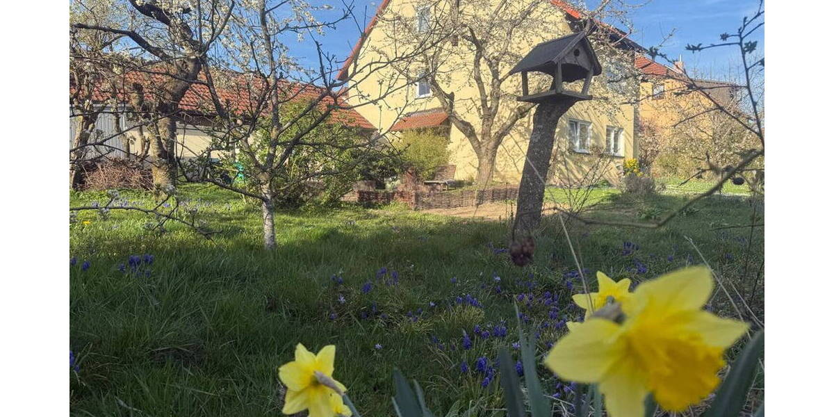 Doppelhaushälfte Rothenburg ob der Tauber Rothenburg - 6 Zimmer, 152 m&sup2;, 429.000&euro; | Angebot:26499723
