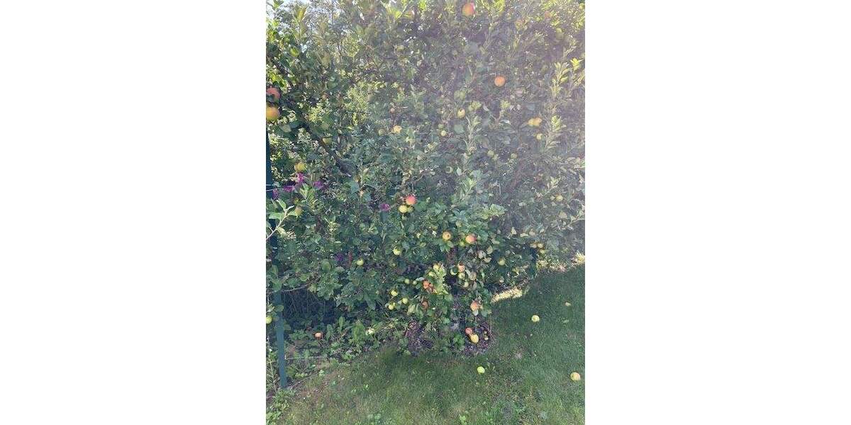 Reihenendhaus Bielefeld Gellershagen - 5 Zimmer, 90 m&sup2;, 269.500&euro; | Angebot:25703967