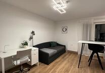 Sanierte 1-Zimmerwohnung mit Balkon& Stellplatz - Weststadt