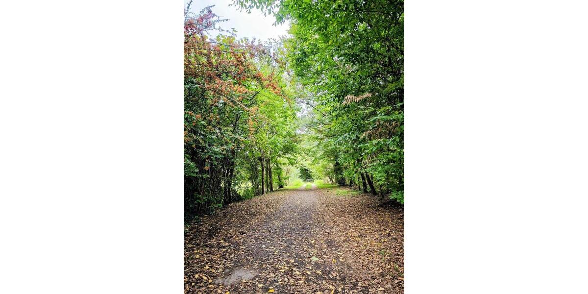 Etagenwohnung Böhl-Iggelheim Iggelheim - 2 Zimmer, 58 m&sup2;, 680&euro; | Angebot:26296077