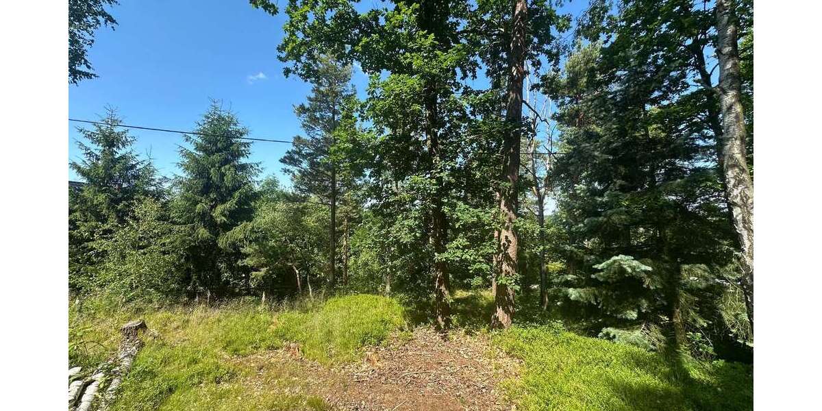 Grundstück Lengenfeld - 29.500&euro; | Angebot:21177508