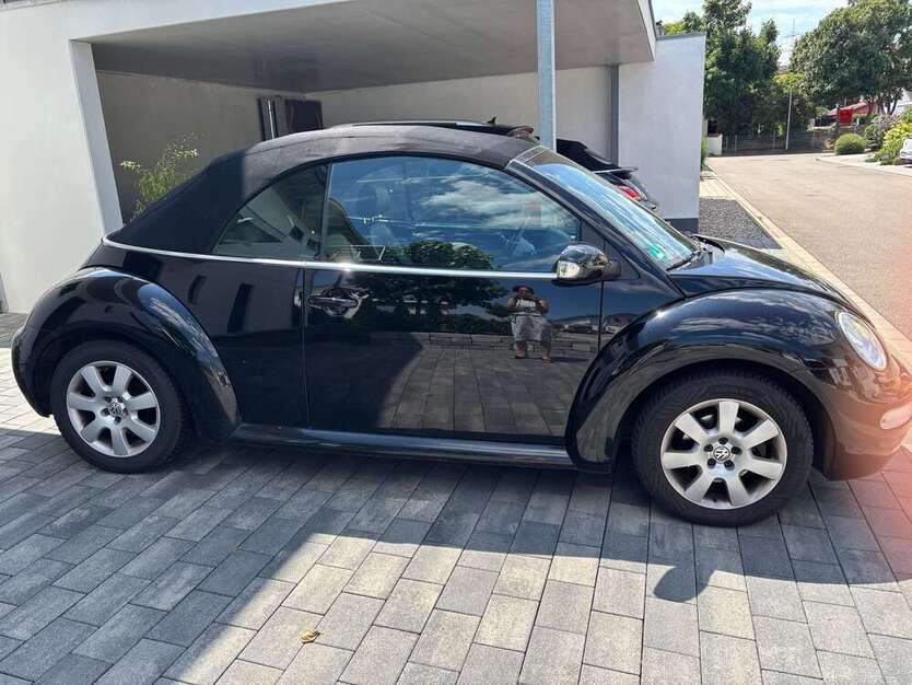 New Beetle