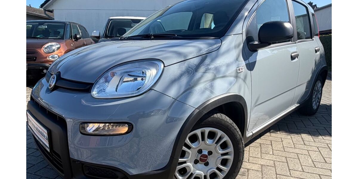 Fiat Panda 58.660 km 10.900 &euro; Stockelsdorf bei Lübeck 23617