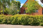 Einfamilienhaus Tönning - 4 Zimmer, 100 m&sup2;, 295.000&euro; | Angebot:20554522
