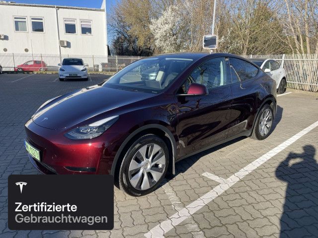 Model Y