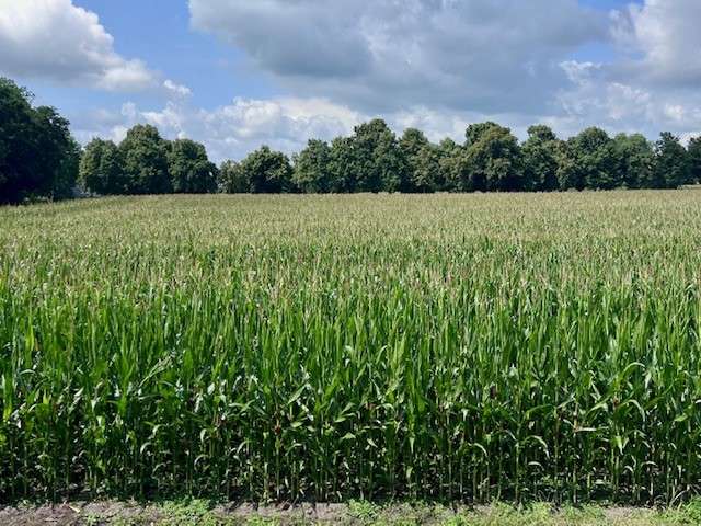 Etagenwohnung Varel / Dangast Dangast - 2 Zimmer, 70 m&sup2;, 299.000&euro; | Angebot:23294012