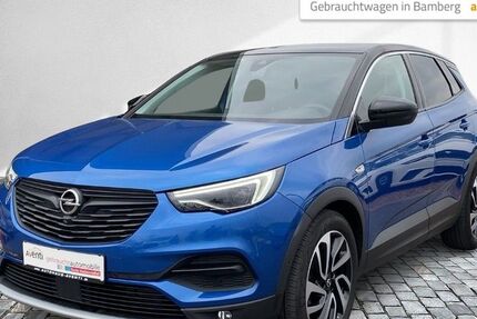 Opel Grandland (X) 101.103 km 16.719 &euro; Bamberg 96052
