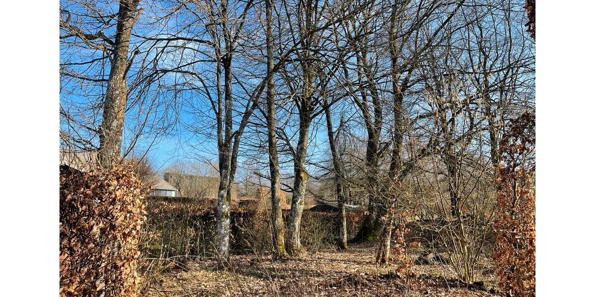 Bauernhaus, Landhaus Schleiden - 7 Zimmer, 256 m&sup2;, 239.000&euro; | Angebot:26890859