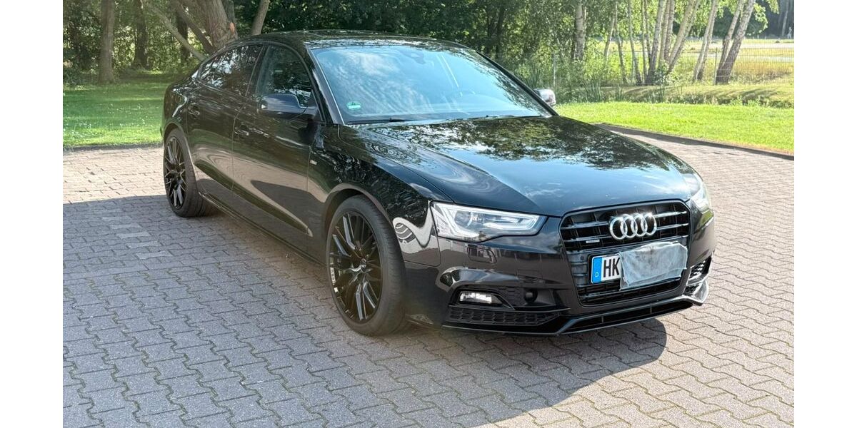Audi A5 174.494 km 19.000 &euro; Walsrode 29664