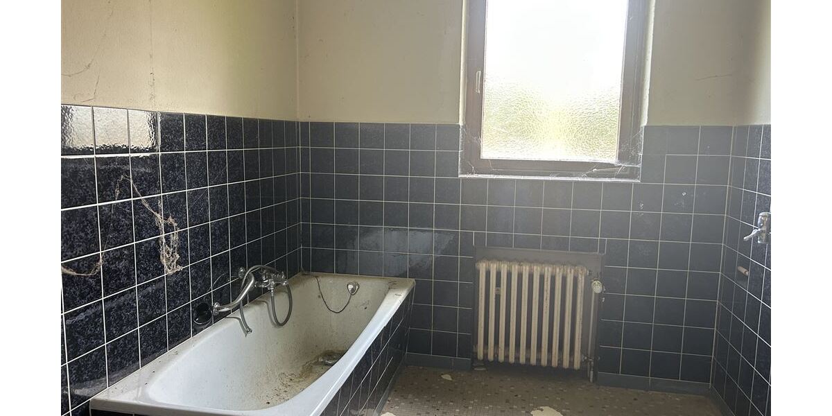 Großes Anwesen am Weser-Radweg, ideal für Pferdehaltung & Hofcafé - Gewerbeobjekt Stolzenau | Angebot:25593999