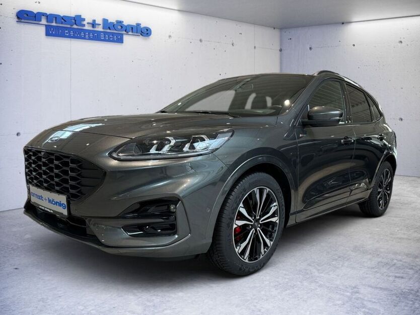 Kuga