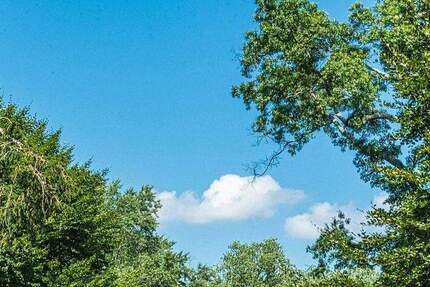 Das Grundstück. Naturnah. Stadtnah. Einmalig.