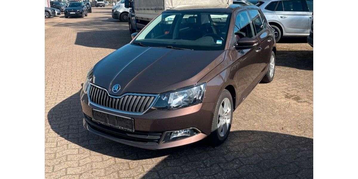 Skoda Fabia 68.250 km 11.450 &euro; Hagenow 19230