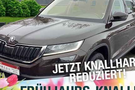 Skoda Kodiaq 137.138 km 19.870 &euro; Marktredwitz 95615