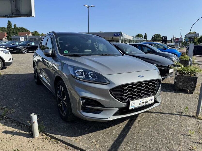 Kuga