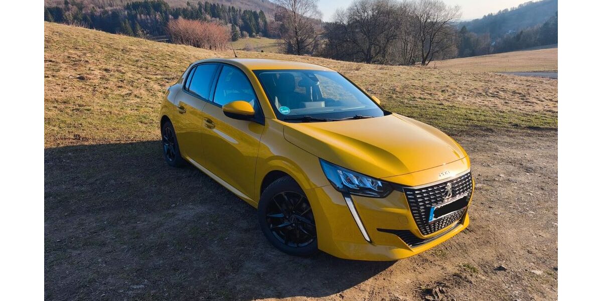 Peugeot 208 88.900 km 9.990 &euro; Steinach 96523
